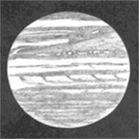 The planet Jupiter